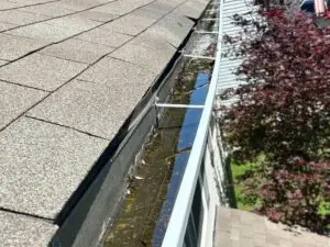 A roof gutter filled with standing water and debris, showing clogged drainage that could lead to water damage along the roof edge.