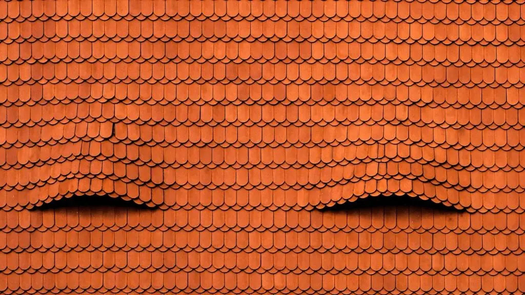 Things That are Ruining Your Roof