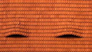 Things That are Ruining Your Roof