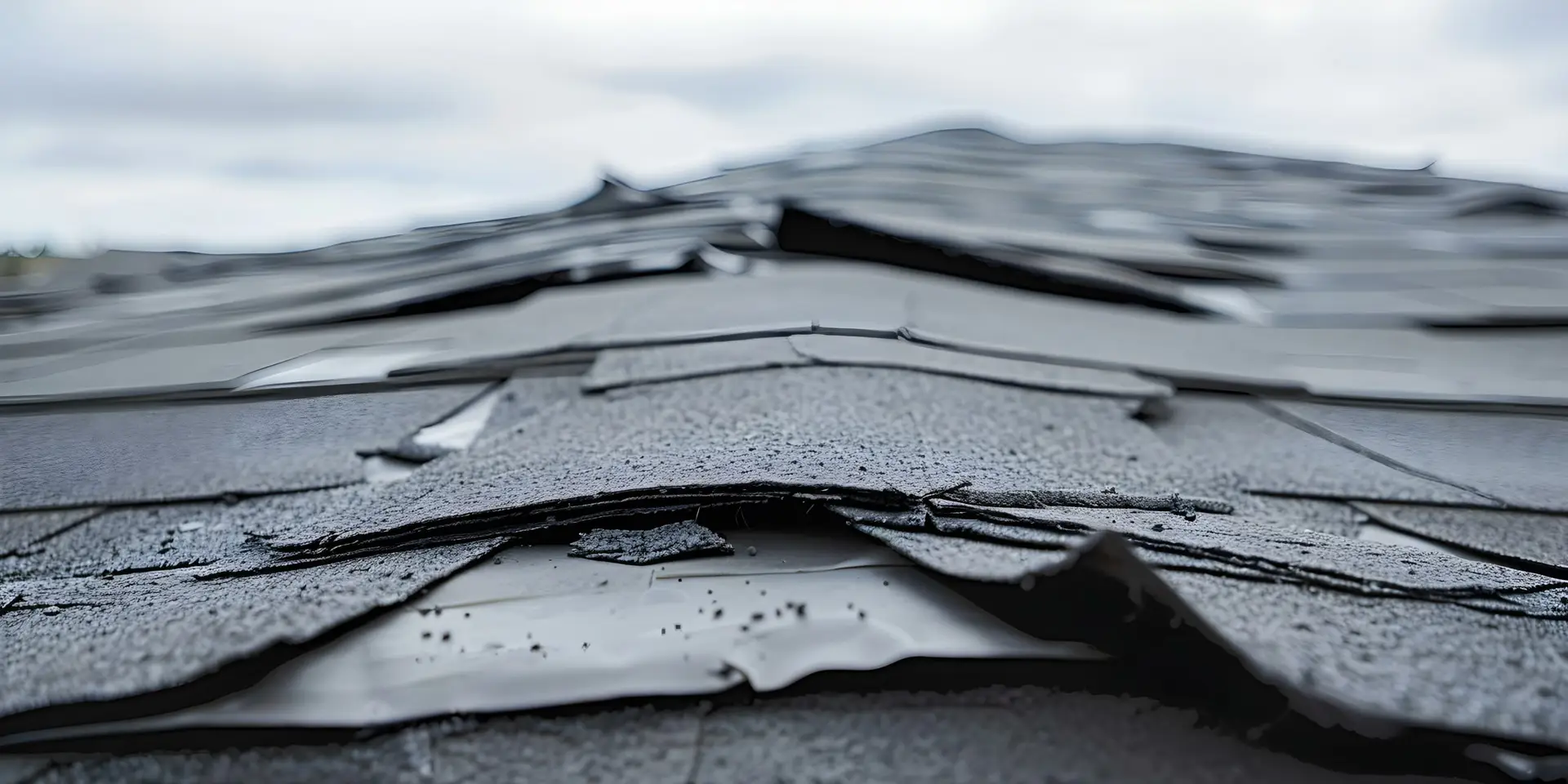 Damage Shingles Scaled