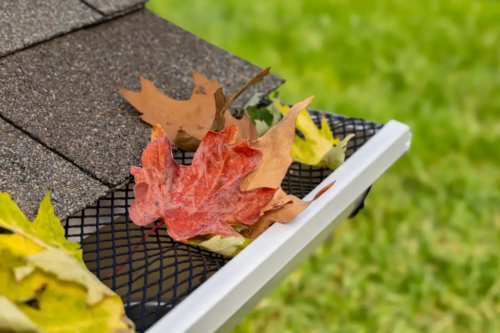 Gutter Scaled