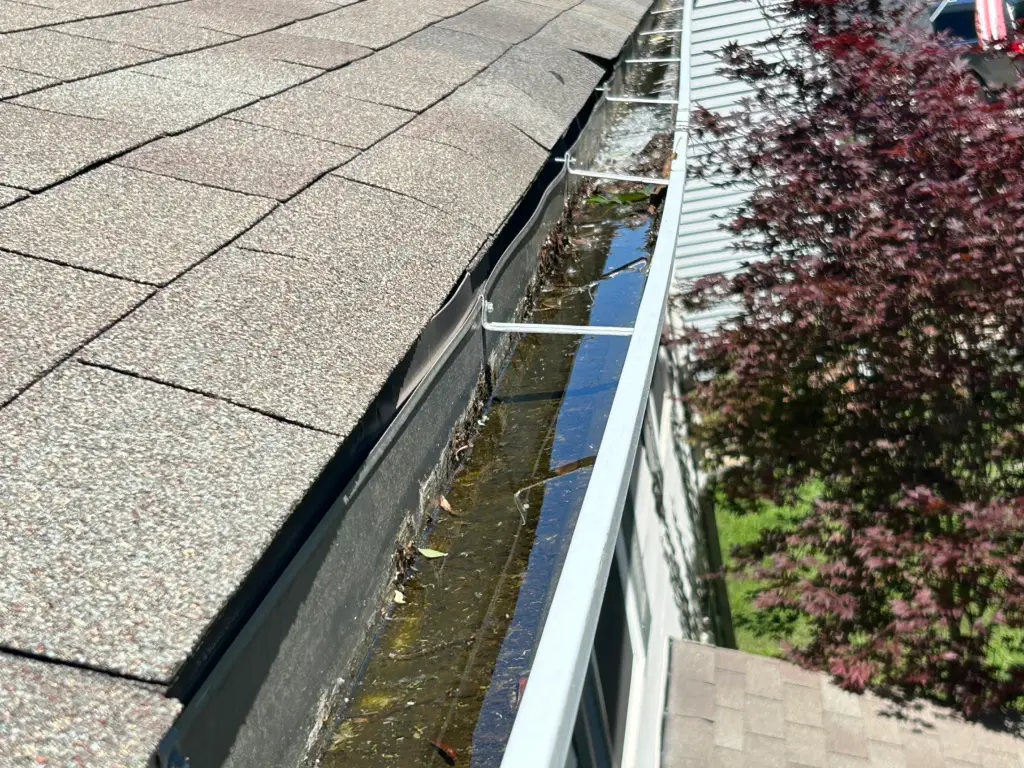 A residential gutter is filled with standing water and debris along brown asphalt shingles, indicating clogged drainage issues.