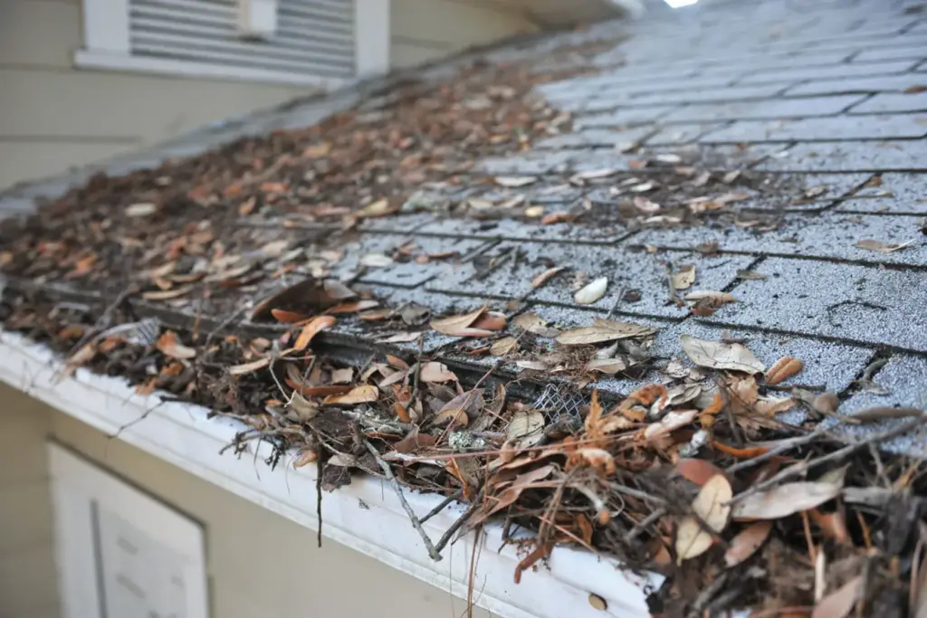 Leaves and debris collected on asphalt shingles along the edge of a residential roof.