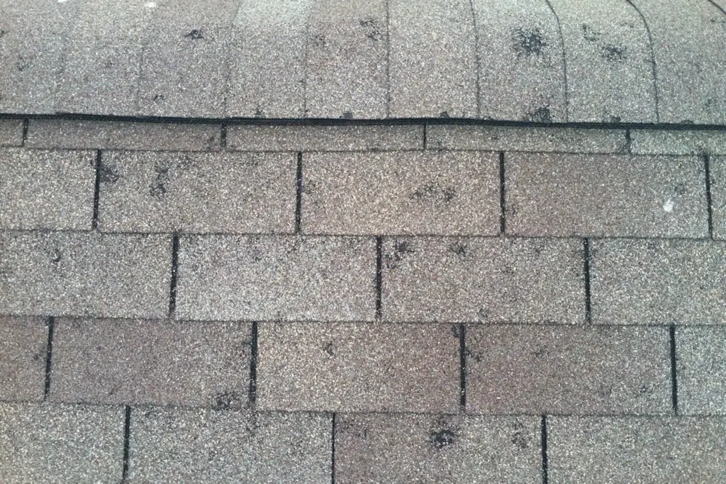 Close-up view of asphalt shingles on a residential roof showing normal weathering and wear.