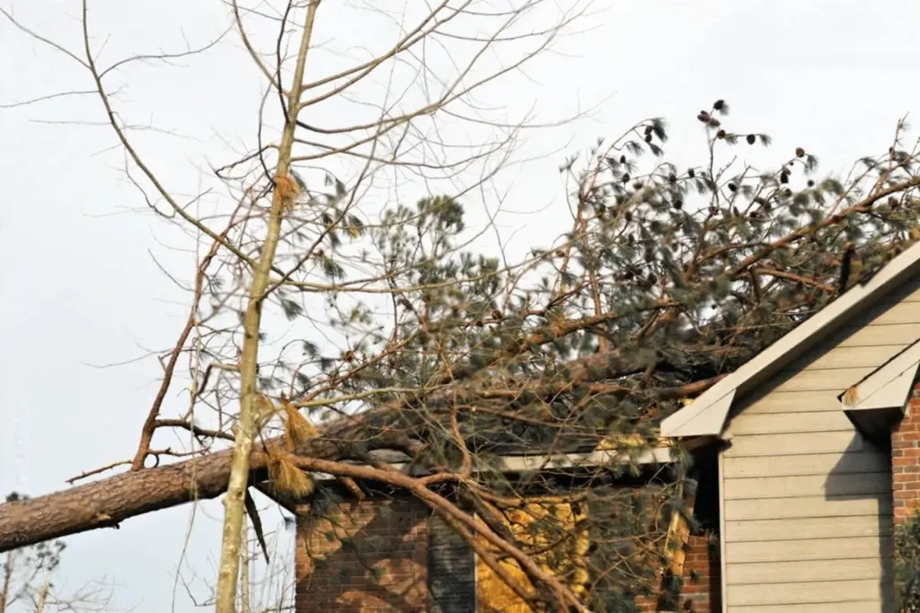 Large fallen tree branches resting against a home after storm damage.