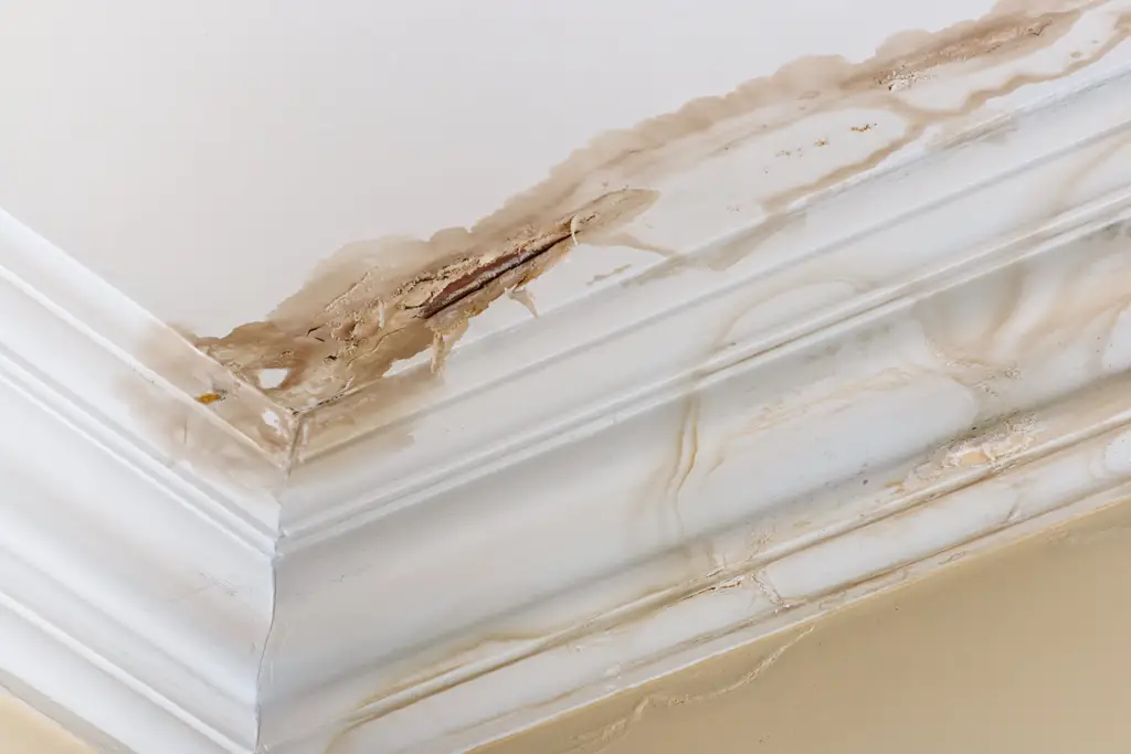 Water damage and staining along an interior ceiling corner and decorative molding.