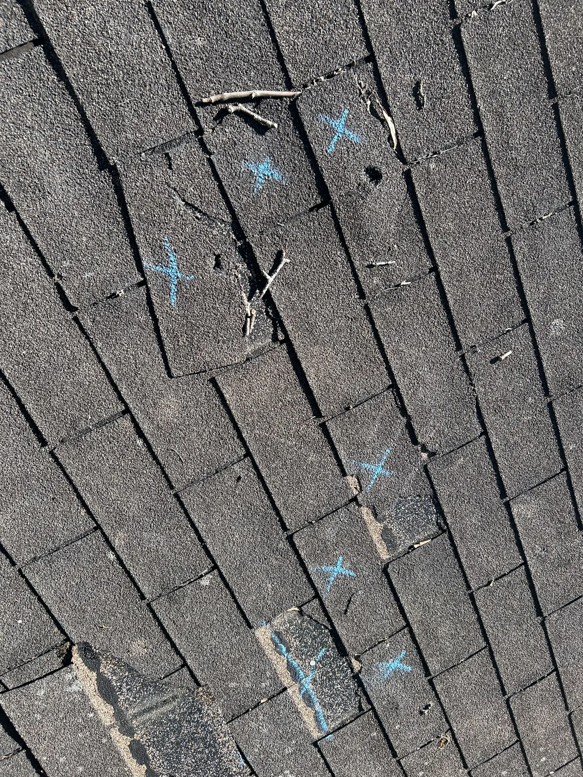 Chalk-marked hail hits on asphalt shingles during a storm damage inspection